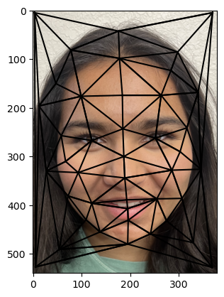 Facial Keypoints Image 1