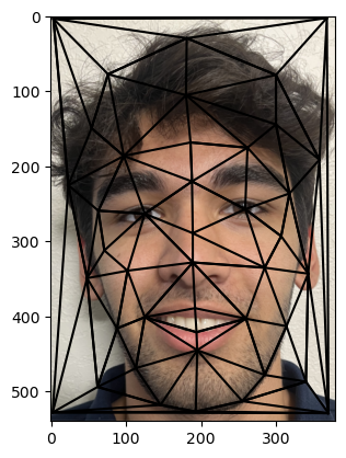 Facial Keypoints Image 2